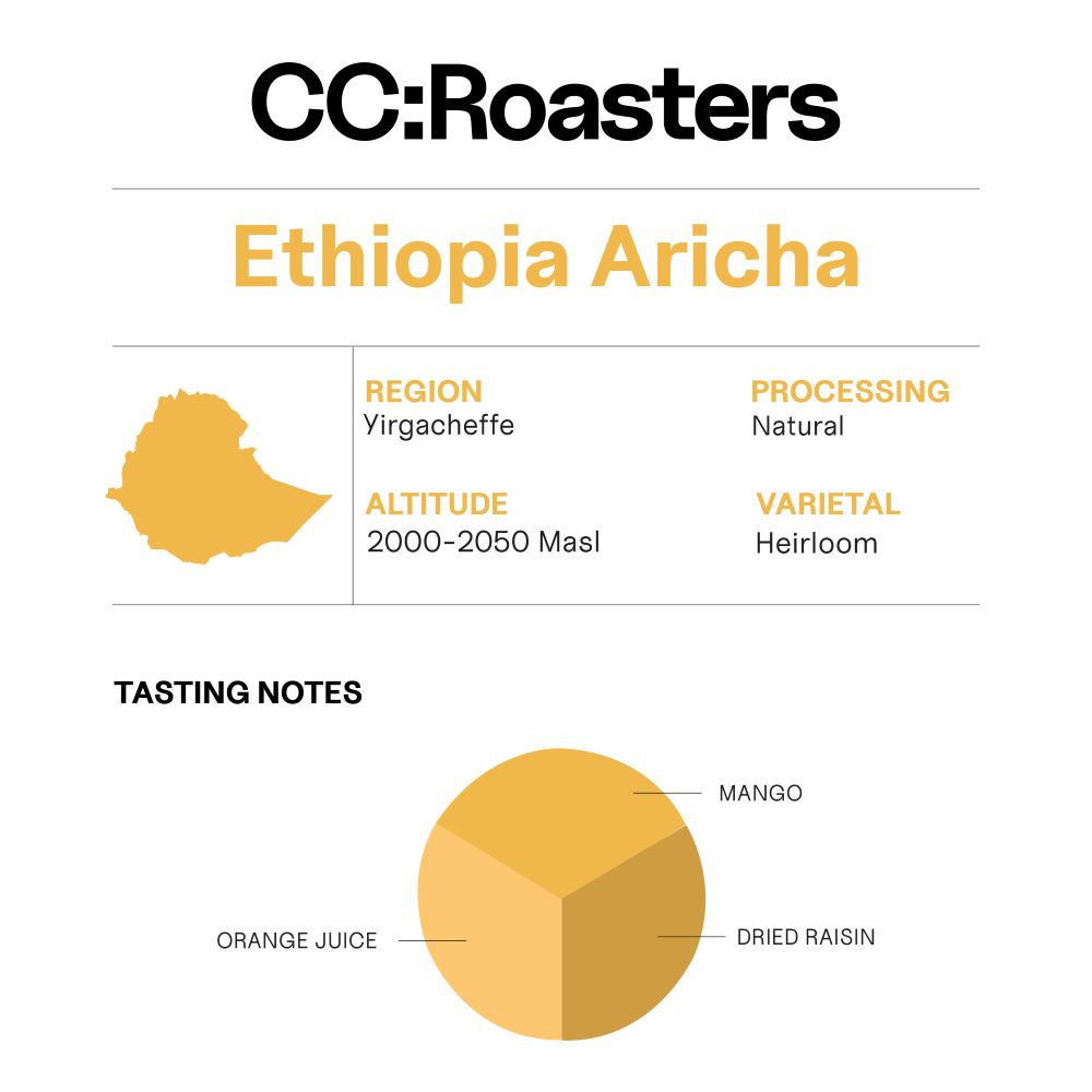 Ethiopia Aricha