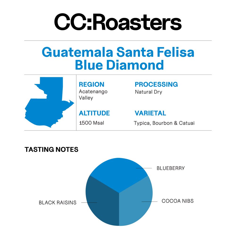 Guatemala Santa Felisa Blue Diamond